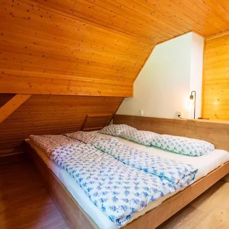 Pod Desenskym Vrchem Apartment *
