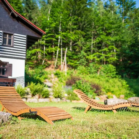 Pod Desenskym Vrchem Apartment Desna (Liberec)